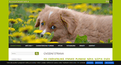 Desktop Screenshot of nova-scotia-retriever.cz